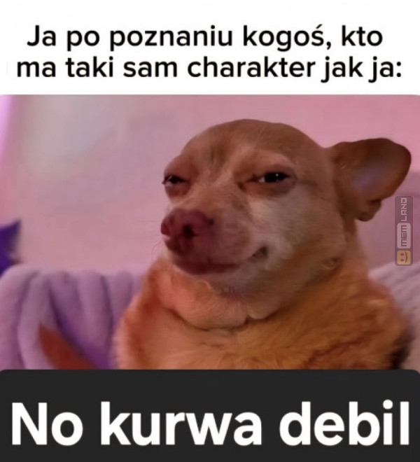 Śmieszny mem: 6308917 - MemLand