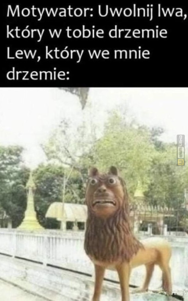 Śmieszny mem: 6311818 - MemLand