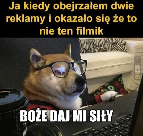 Śmieszny mem: 6314749 - MemLand