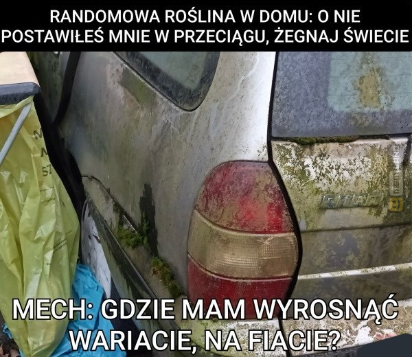 Śmieszny mem: 6324130 - MemLand