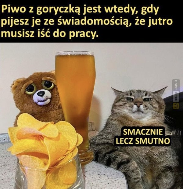 Śmieszny mem: 6324205 - MemLand