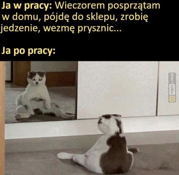 Śmieszny mem: 6326526 - MemLand