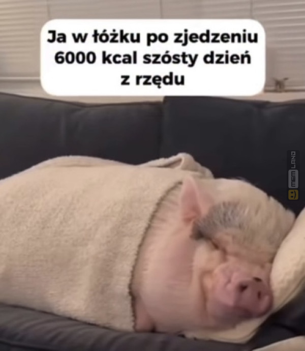 Śmieszny mem: 6334992 - MemLand