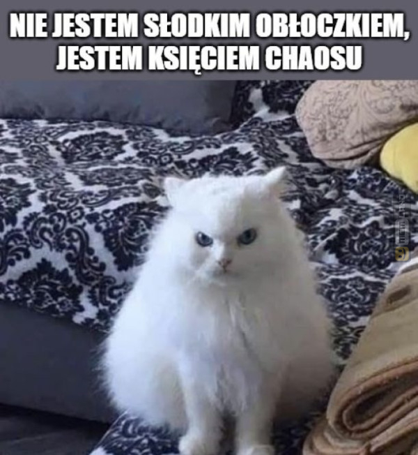 Śmieszny mem: 6350473 - MemLand