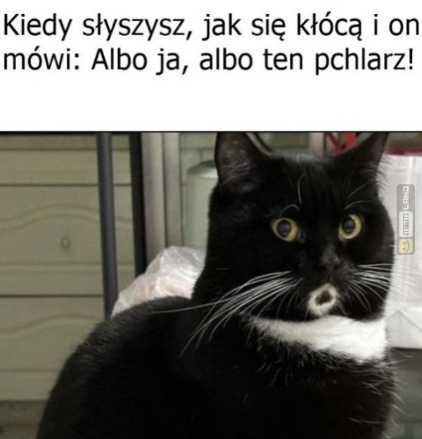 Śmieszny mem: 6350701 - MemLand