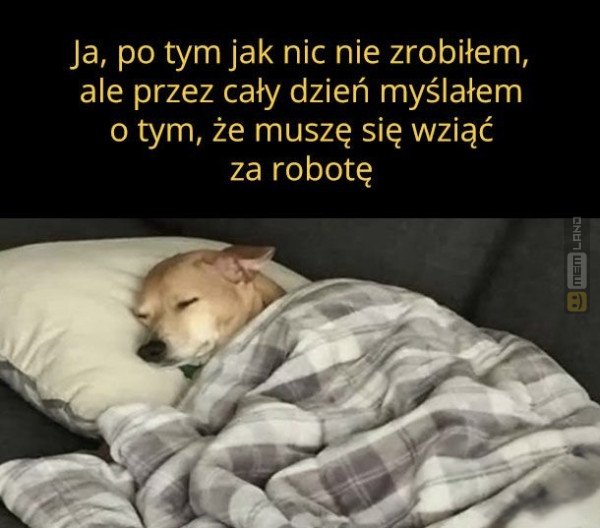 Śmieszny mem: 6351753 - MemLand