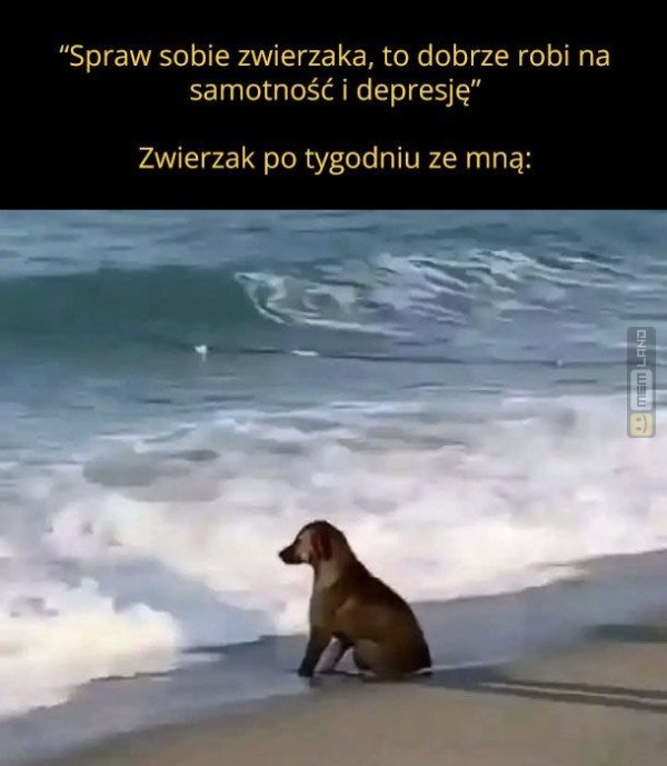 Śmieszny mem: 6354357 - MemLand