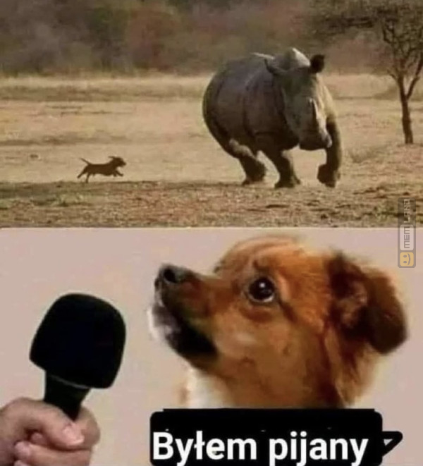 Śmieszny mem: 6365966 - MemLand