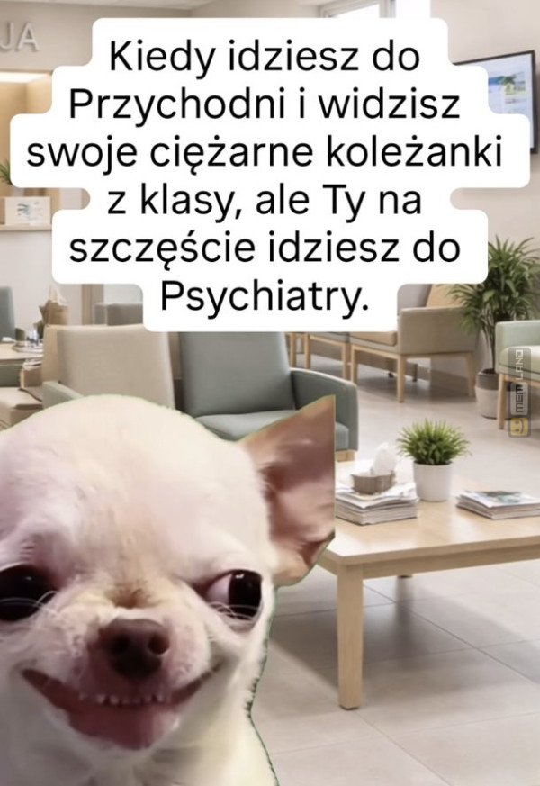 Śmieszny mem: 6369022 - MemLand