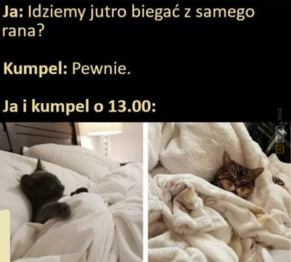 Śmieszny mem: 6379398 - MemLand