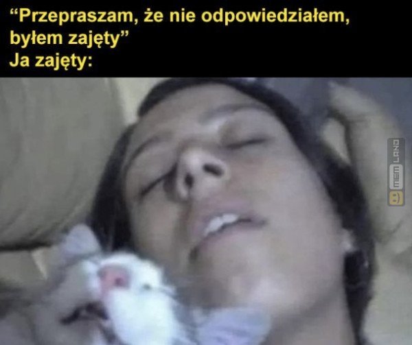 Śmieszny mem: 6382634 - MemLand