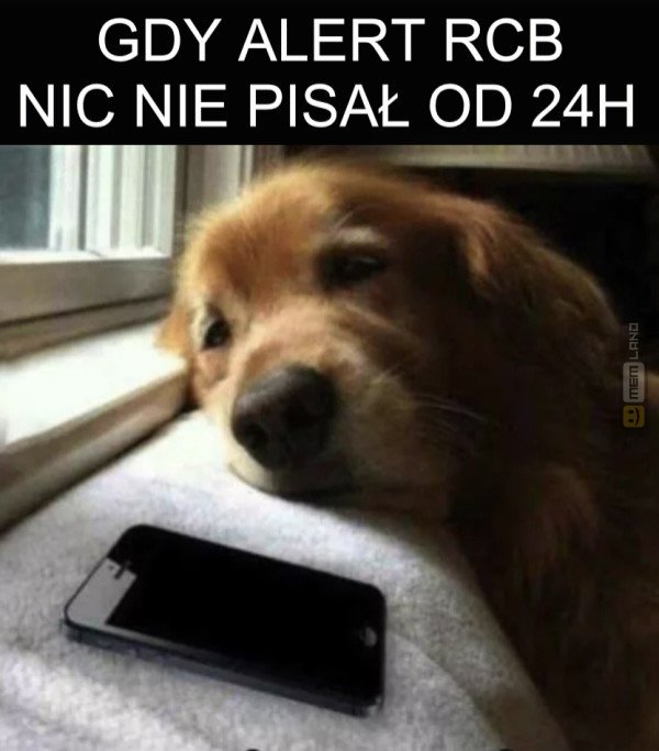Śmieszny mem: 6385814 - MemLand