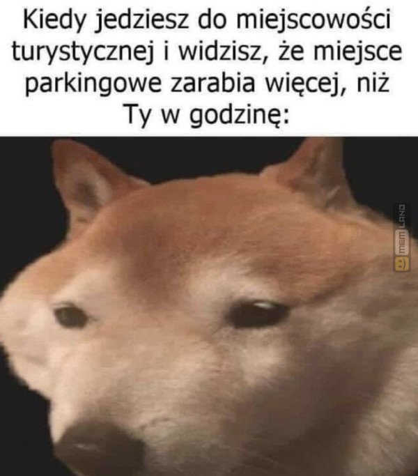 Śmieszny mem: 6387158 - MemLand