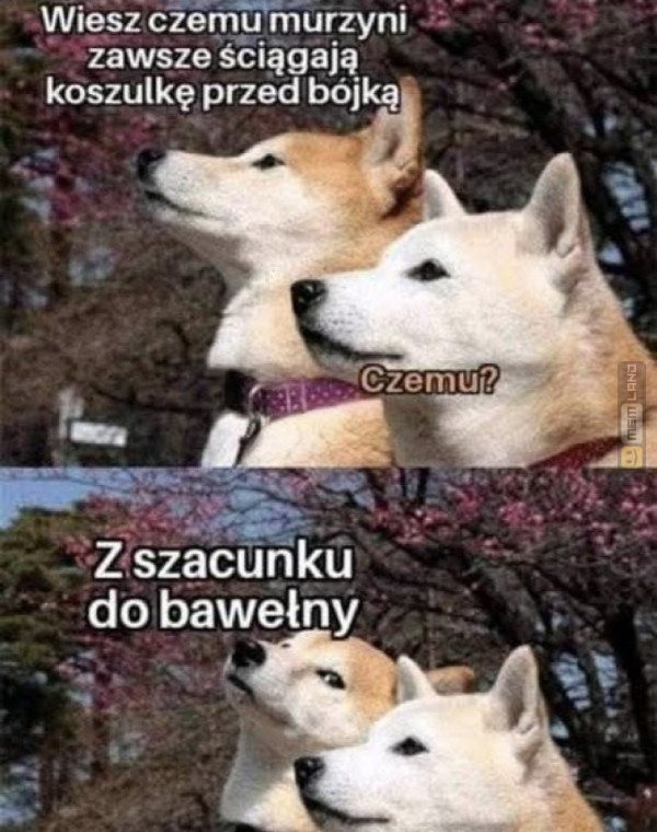 Śmieszny mem: 6387570 - MemLand