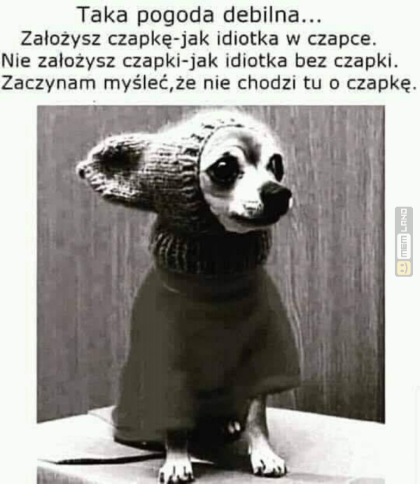 Śmieszny mem: 6401323 - MemLand