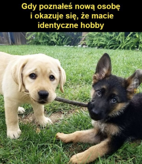 Śmieszny mem: 6402824 - MemLand