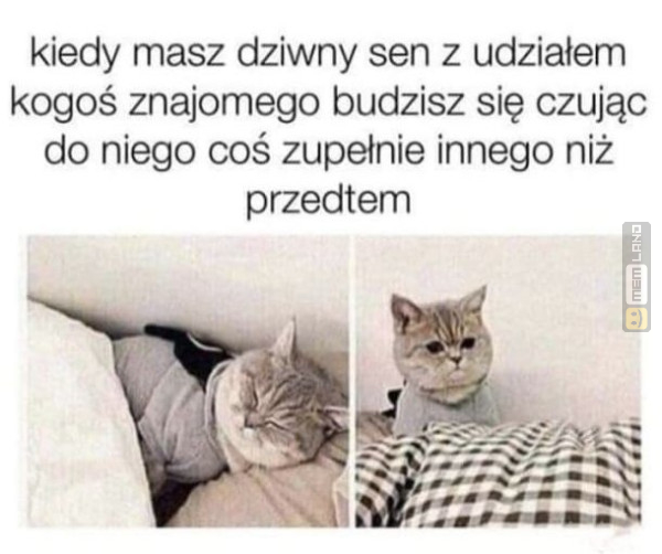 Śmieszny mem: 6410266 - MemLand
