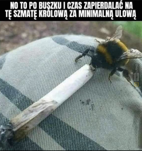 Śmieszny mem: 6414150 - MemLand