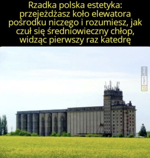 Śmieszny mem: 6416781 - MemLand