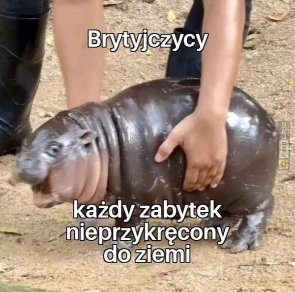 Śmieszny mem: 6419751 - MemLand