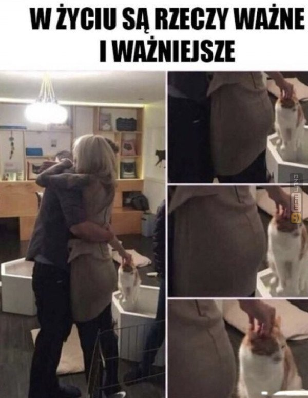 Śmieszny mem: 6428456 - MemLand