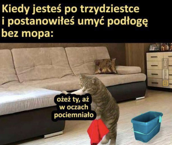 Śmieszny mem: 6433599 - MemLand