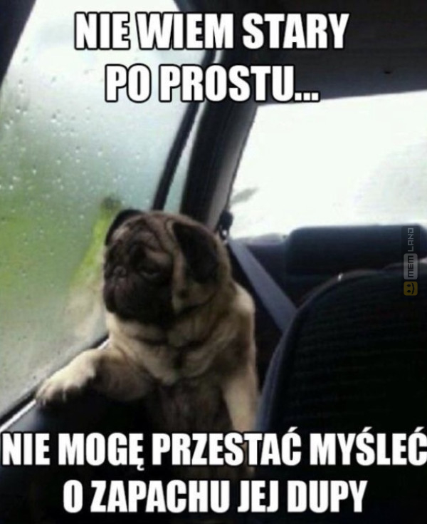 Śmieszny mem: 6442305 - MemLand