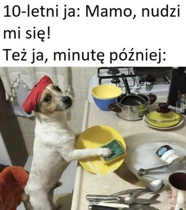 Śmieszny mem: 6442793 - MemLand