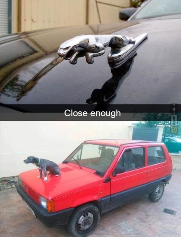 Śmieszny mem: 6442917 - MemLand