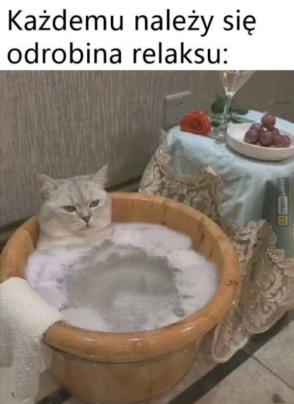 Śmieszny mem: 6444562 - MemLand
