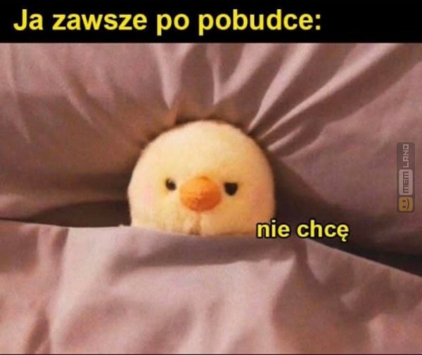 Śmieszny mem: 6445430 - MemLand