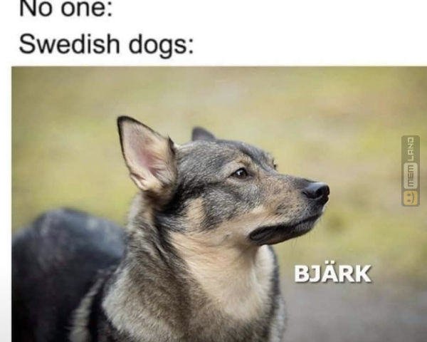 Śmieszny mem: 6445772 - MemLand