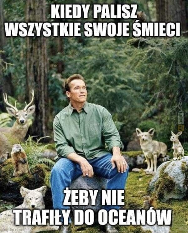 Śmieszny mem: 6446075 - MemLand