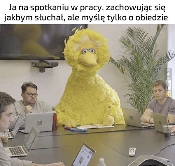 Śmieszny mem: 6452083 - MemLand