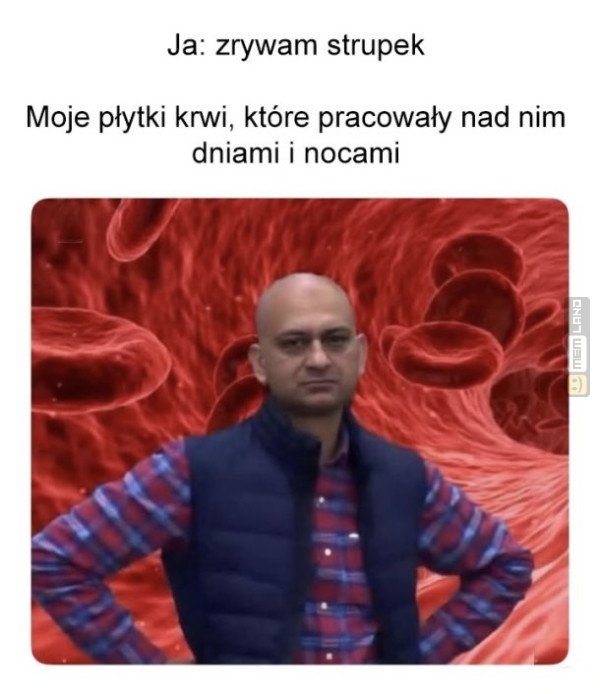 Śmieszny mem: 6454088 - MemLand