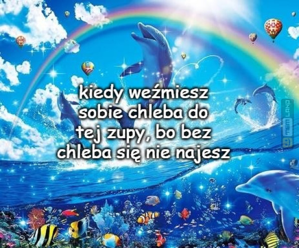 Śmieszny mem: 6461823 - MemLand