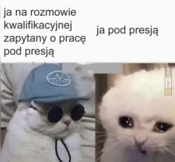 Śmieszny mem: 6462922 - MemLand