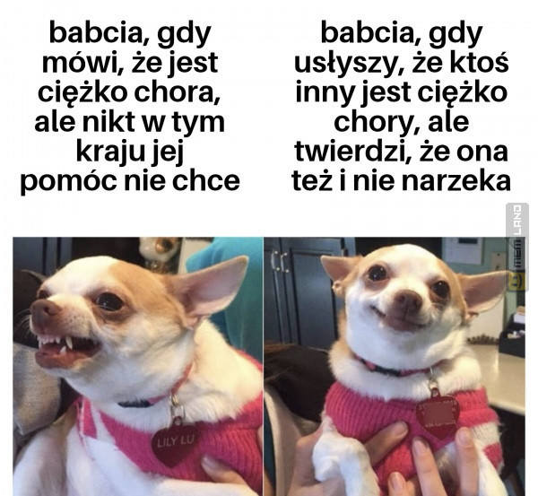 Śmieszny mem: 6463068 - MemLand