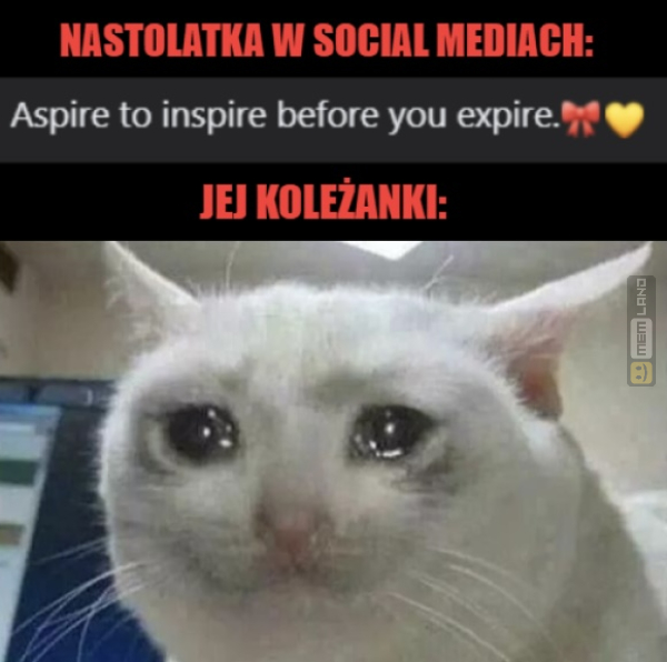 Śmieszny mem: 6464241 - MemLand