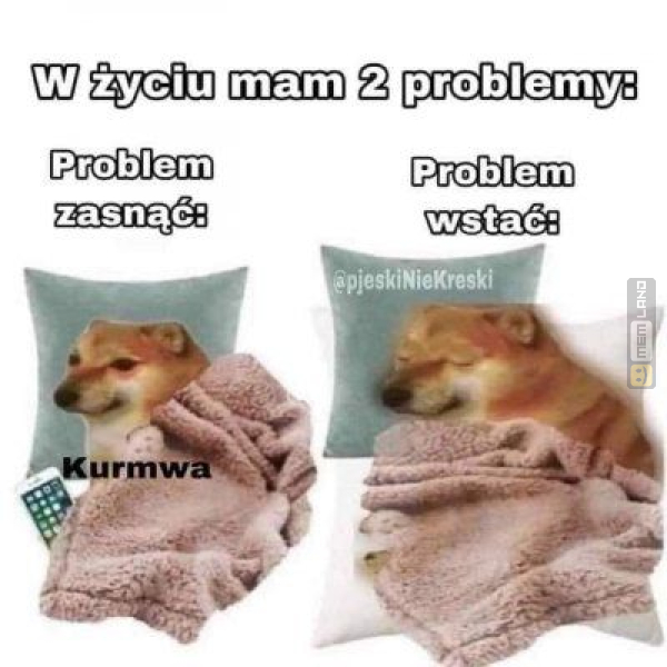 Śmieszny mem: 6464824 - MemLand