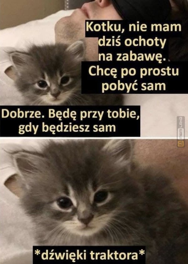 Śmieszny mem: 6474028 - MemLand