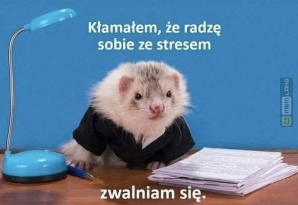 Śmieszny mem: 6481043 - MemLand