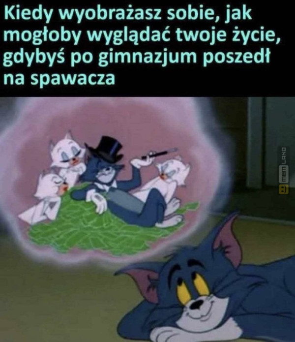 Śmieszny mem: 6482188 - MemLand