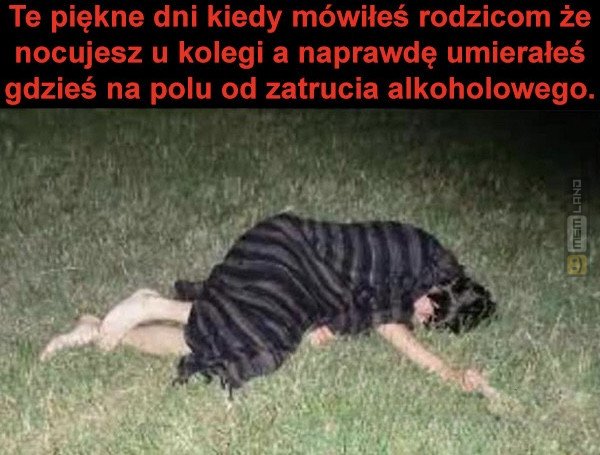 Śmieszny mem: 6496101 - MemLand