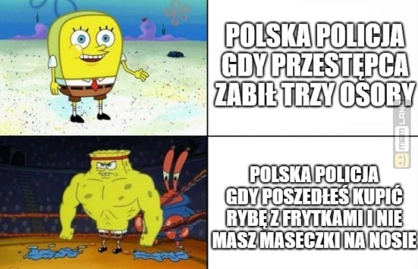 Śmieszny mem: 6501248 - MemLand