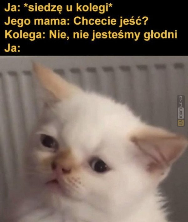 Śmieszny mem: 6507468 - MemLand