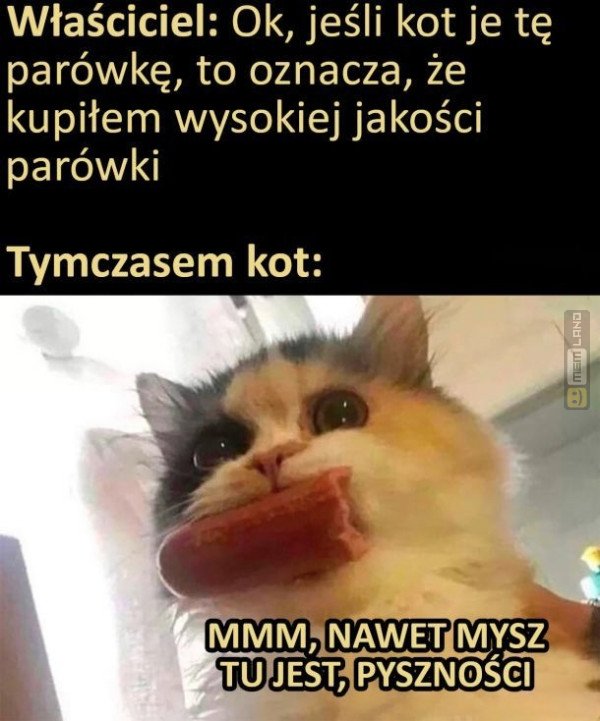 Śmieszny mem: 6508979 - MemLand