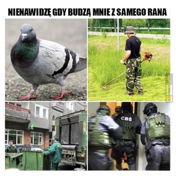 Śmieszny mem: 6511835 - MemLand