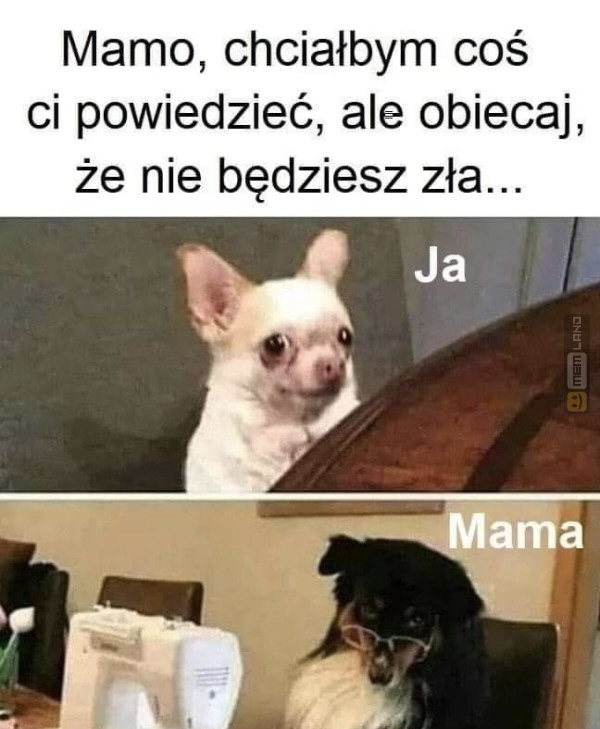 Śmieszny mem: 6514790 - MemLand