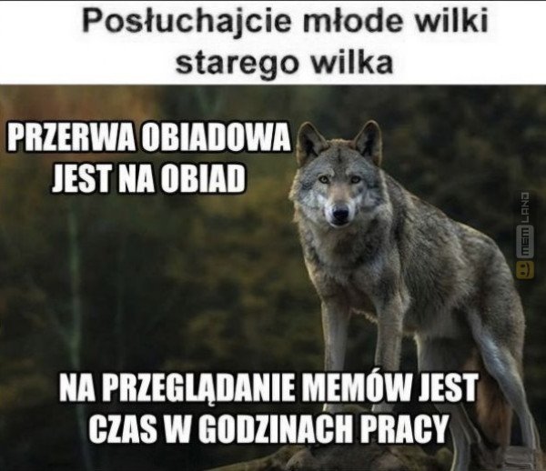 Śmieszny mem: 6526779 - MemLand